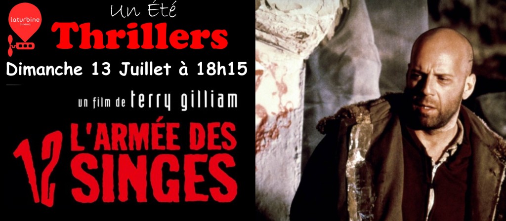 actualité L ARMEE 12 SINGES